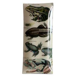 John Derian - Glass Decoupage Tray