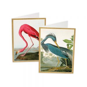 Caspari-Audubon Birds- 8 Note Cards With Envelopes