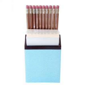Faux Snakeskin Pencil & Paper Caddy