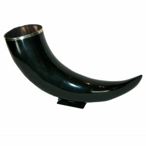 Large Black Horn with Silver Rim on Stand